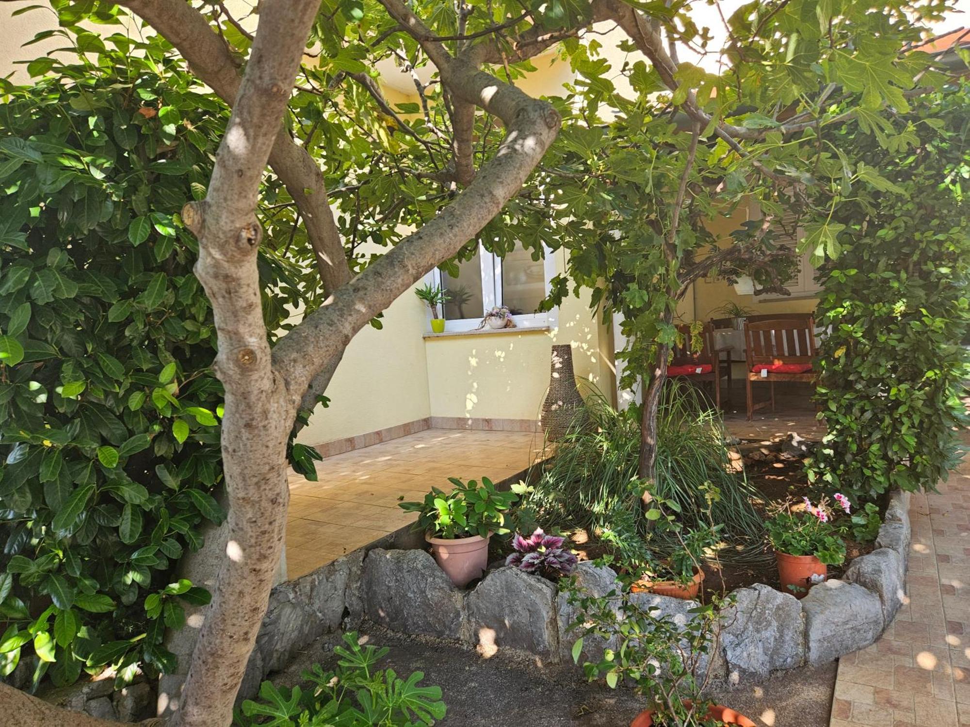 Apartmani Sanja Klenovica Exterior photo